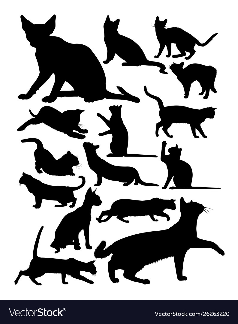 Cat silhouette Royalty Free Vector Image - VectorStock