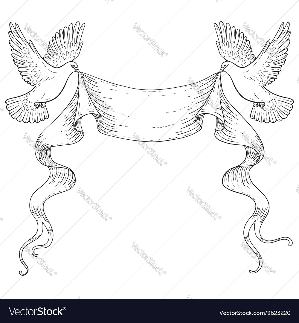 Doves outline Royalty Free Vector Image - VectorStock