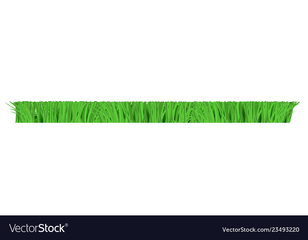 Green grass border for summer landscape