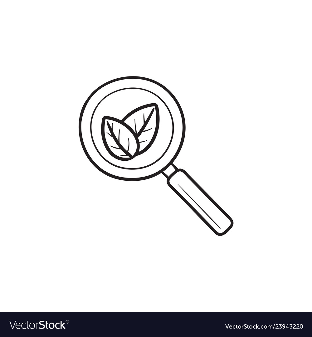 Organic search hand drawn outline doodle icon