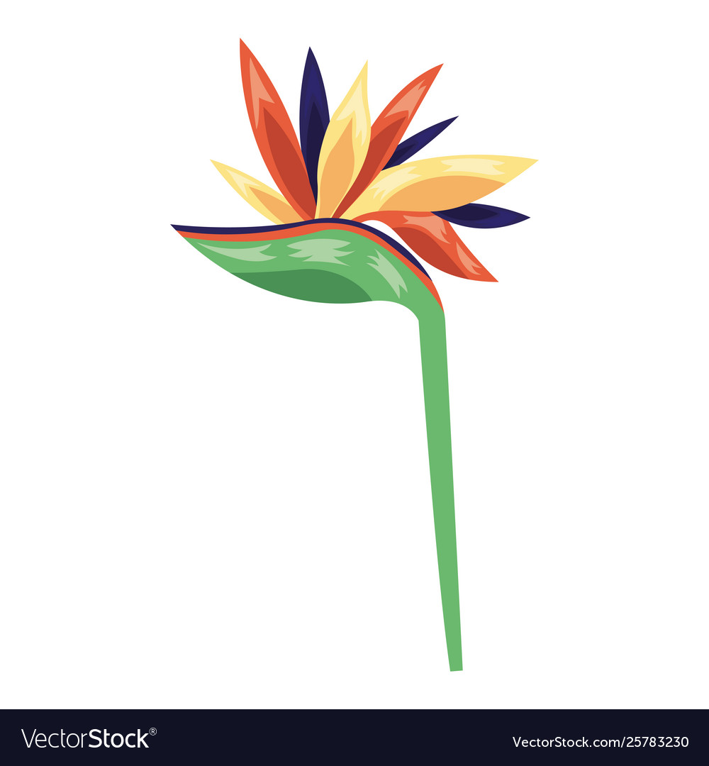 Tropical exotic flower decoration icon