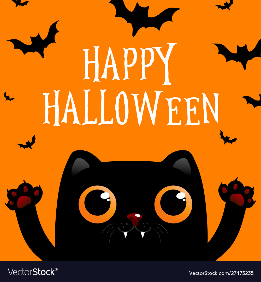 Halloween paper cut background with black cat Vector Image