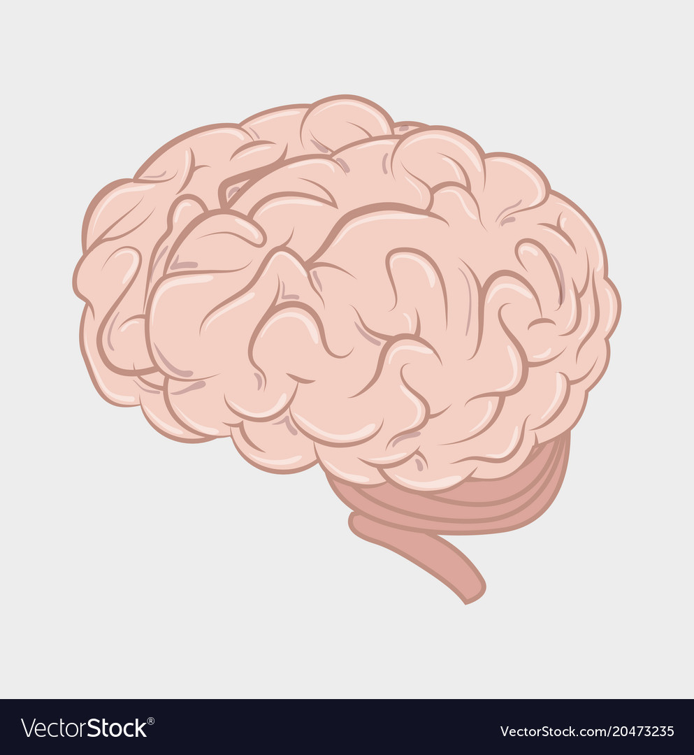 M brain. Графический дизайн мозг. Мозг Графическое решение. Человеческий интеллект иллюстрации. Мозг эскиз Графика.