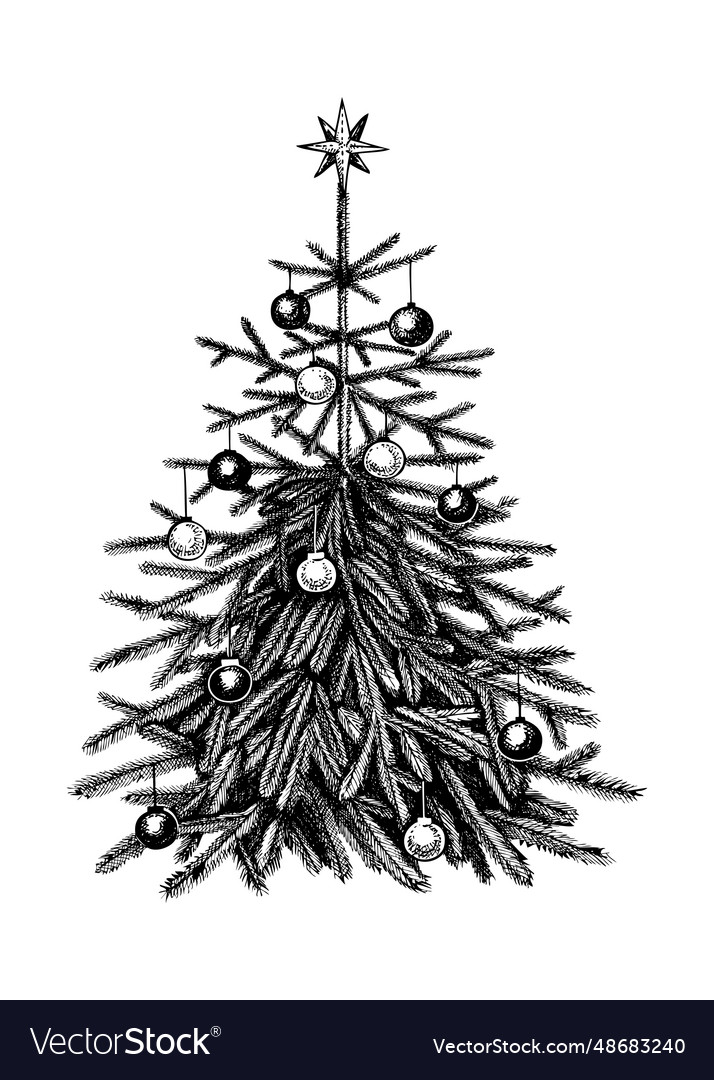 Christmas Tree Sketch Hand-drawn Beautiful Vector Image