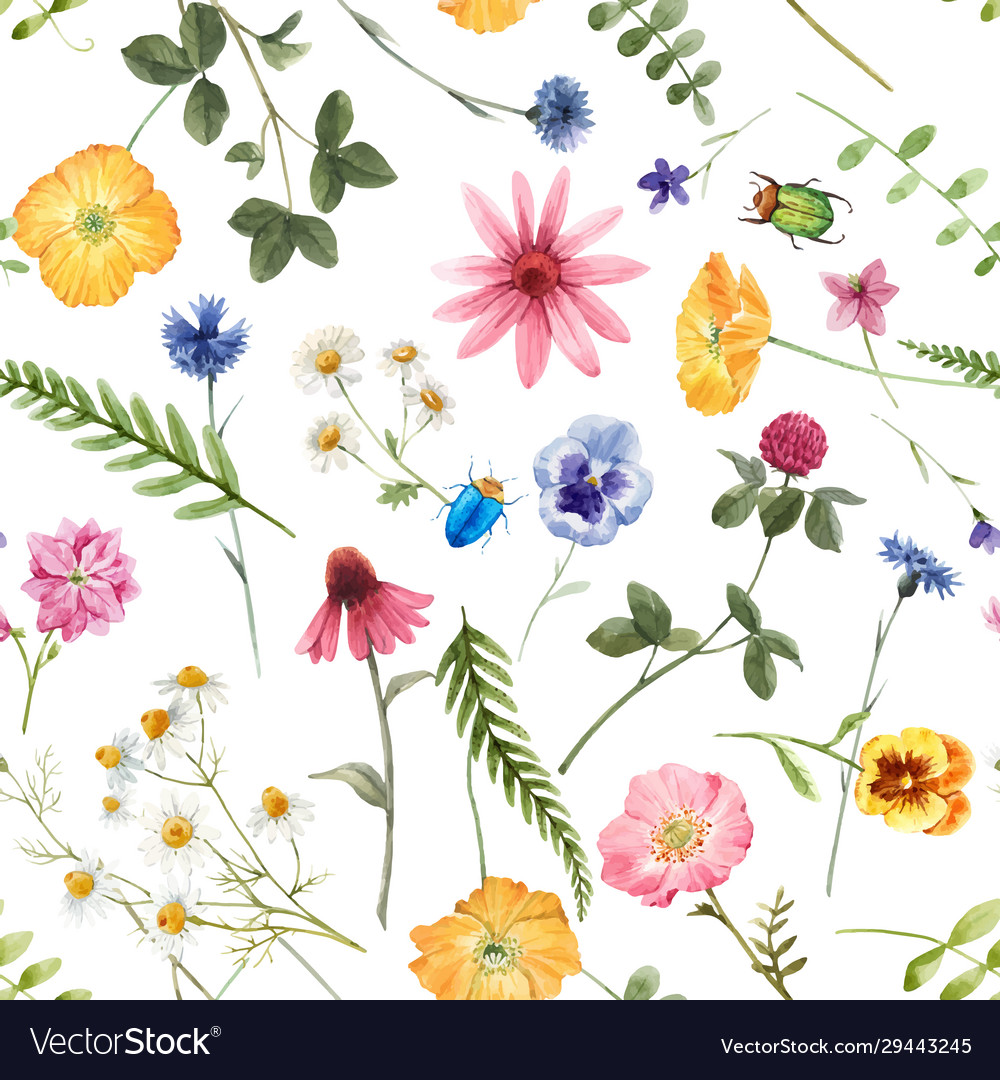 Beautiful floral summer seamless pattern Vector Image