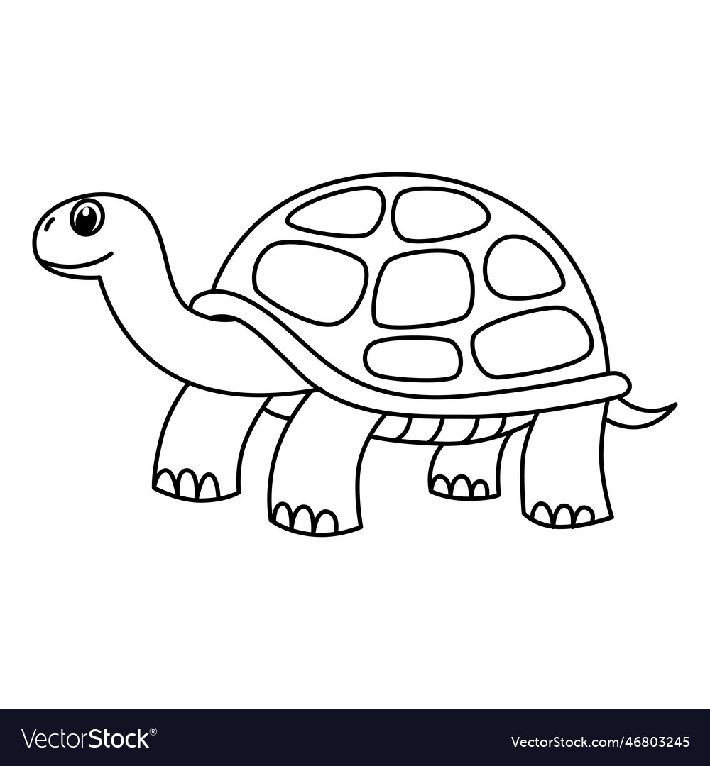 Cute turtle cartoon coloring page Royalty Free Vector Image