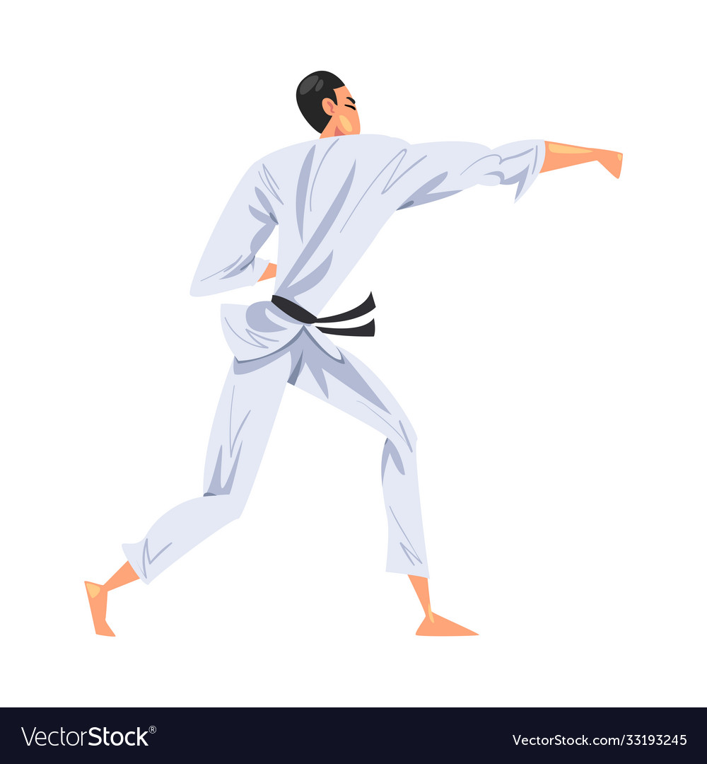 Man karateka doing karate male fighter character