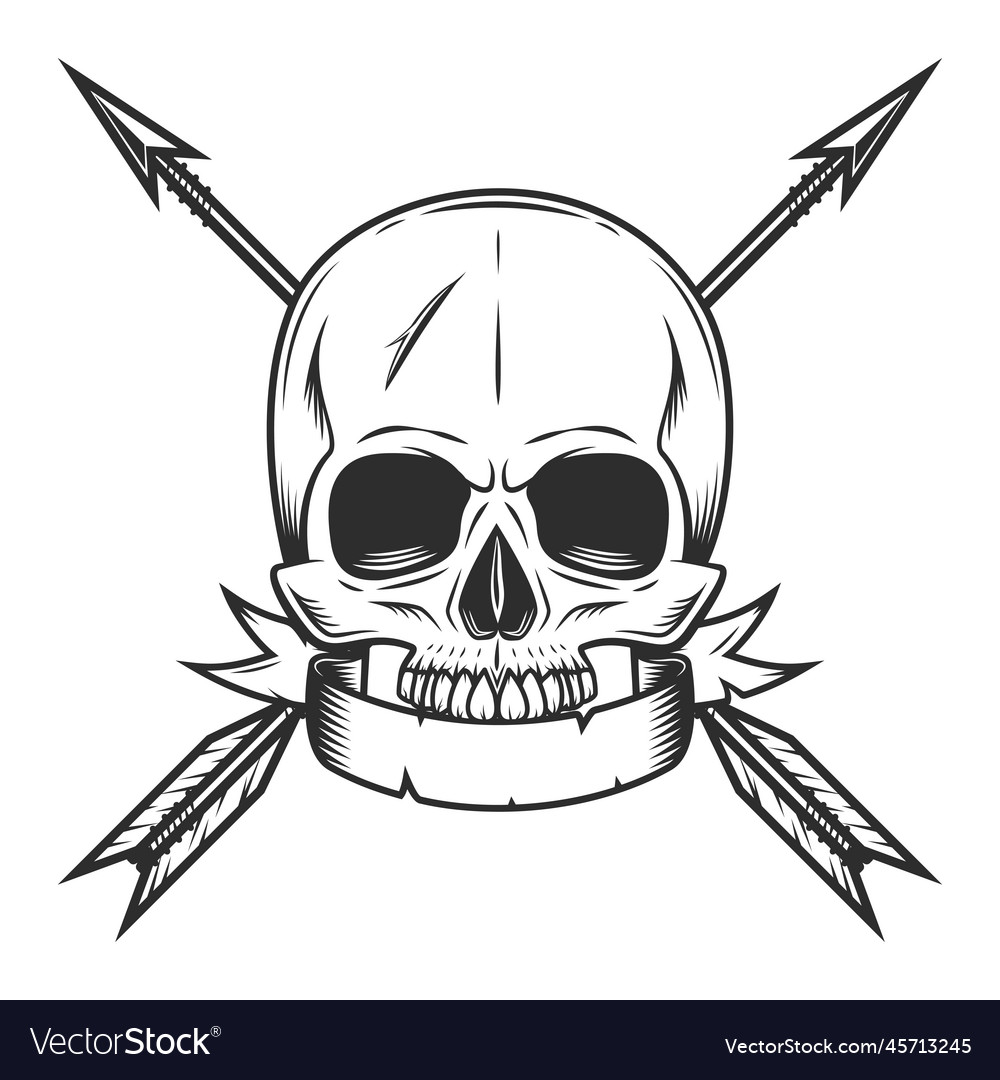 Skull Without Jaw With Ribbon And Hunting Arrow Vector Image