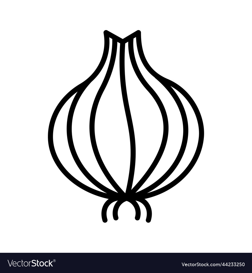 Bulb onion or common icon pictogram