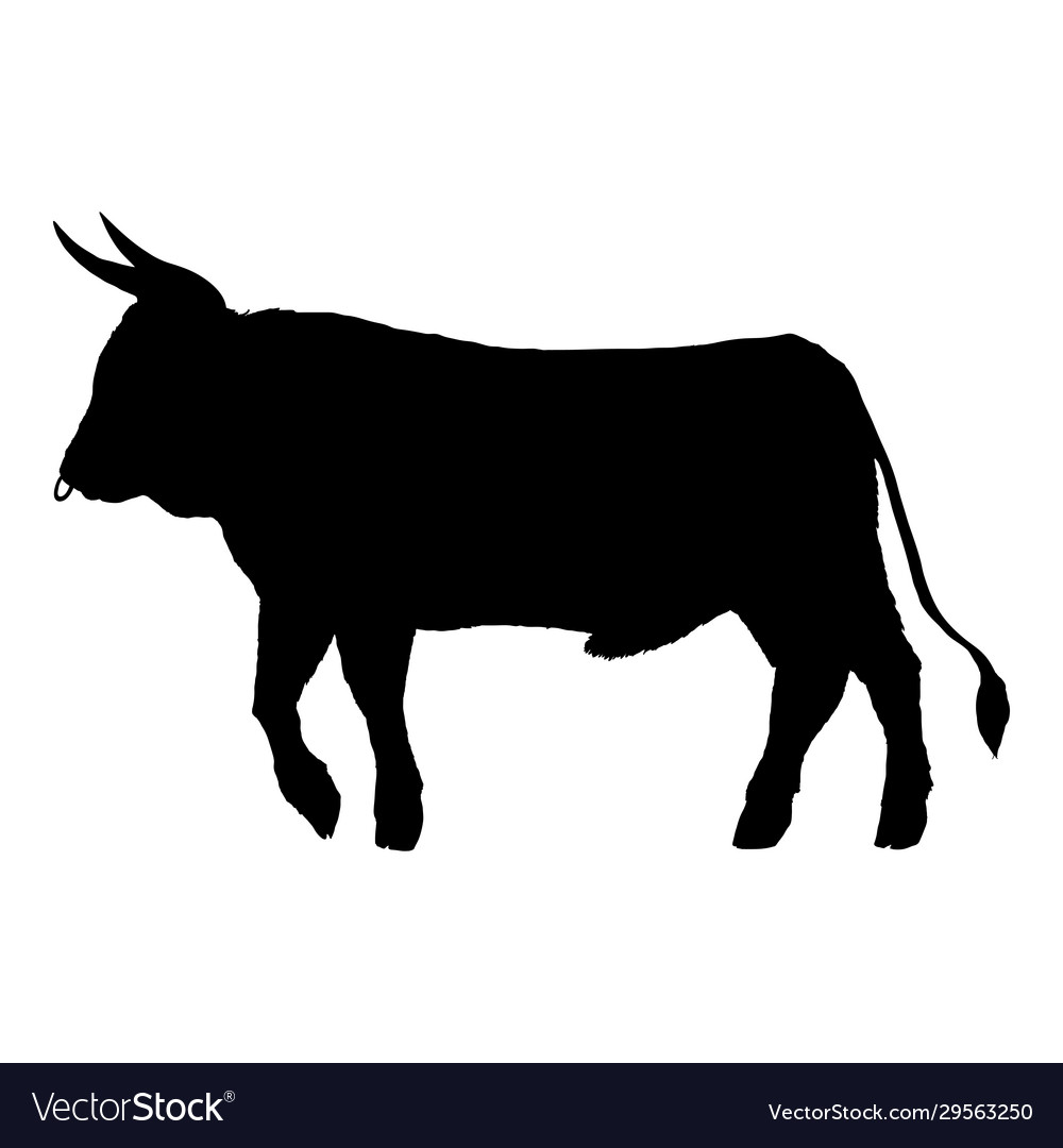 Bull silhouette cattle