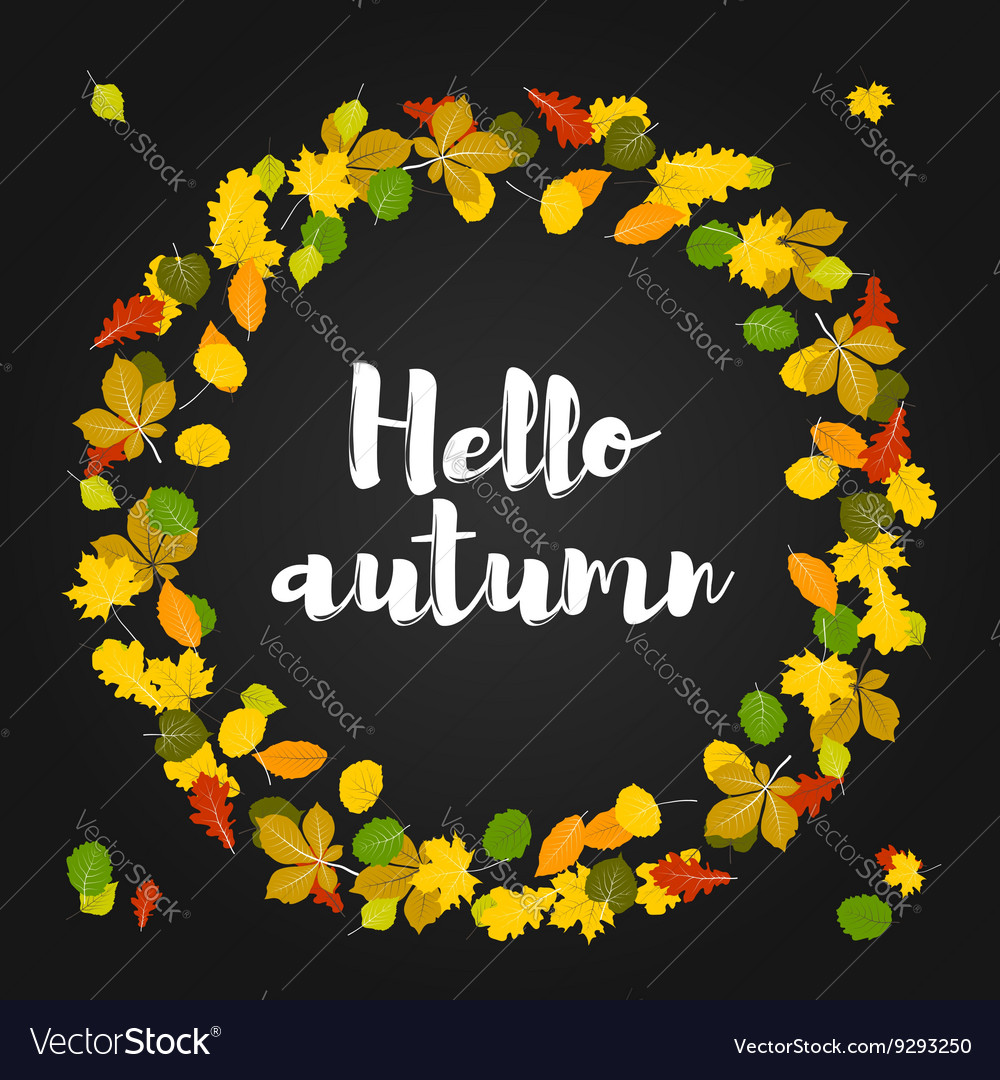 Hello autumn leaves