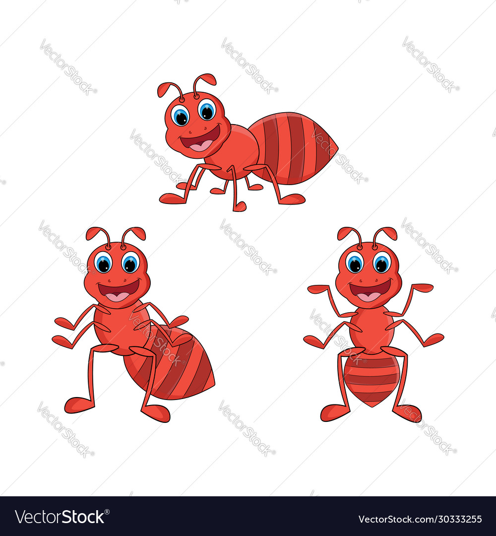 Ant Royalty Free Vector Image - VectorStock