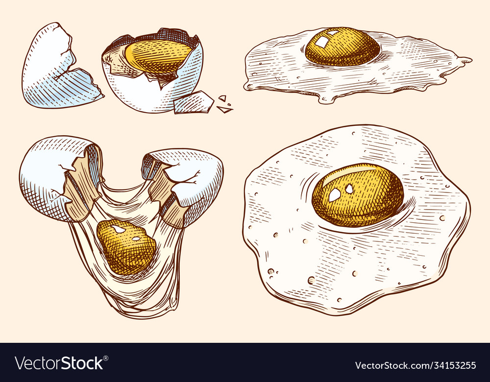 Eggs and yolk scrambled omelette shell Royalty Free Vector