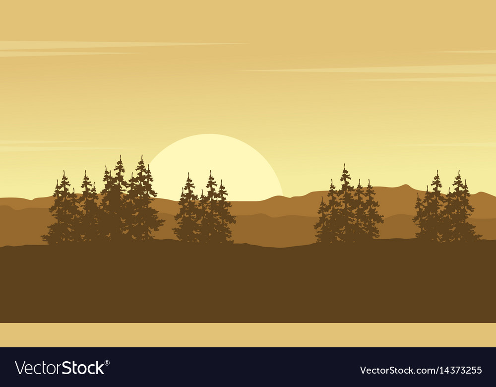 Silhouette of hill with spruce tree scenery