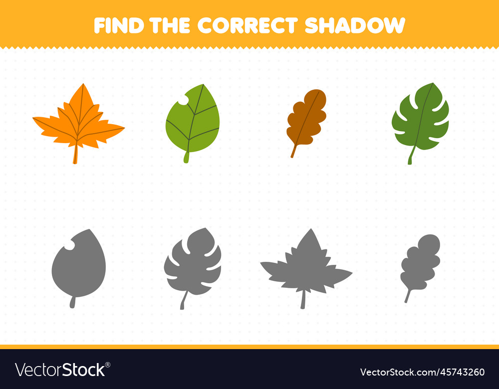 Education game for children find the correct Vector Image