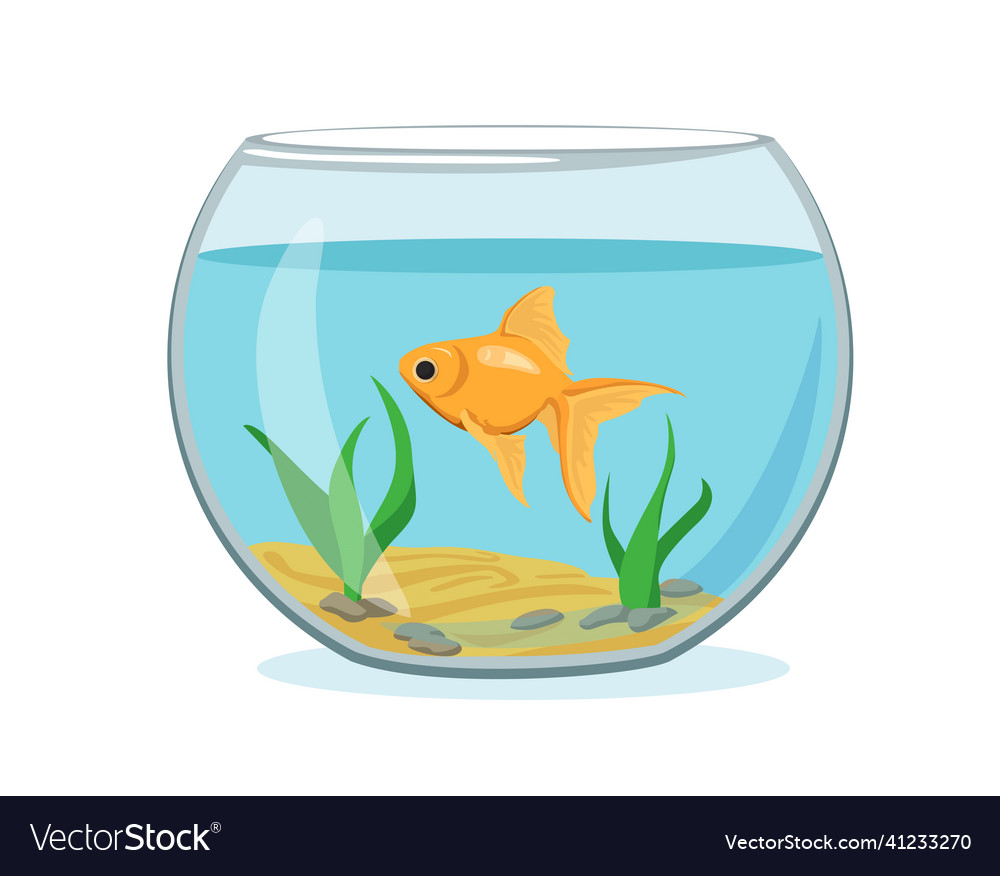 Aquarium mit Goldfisch