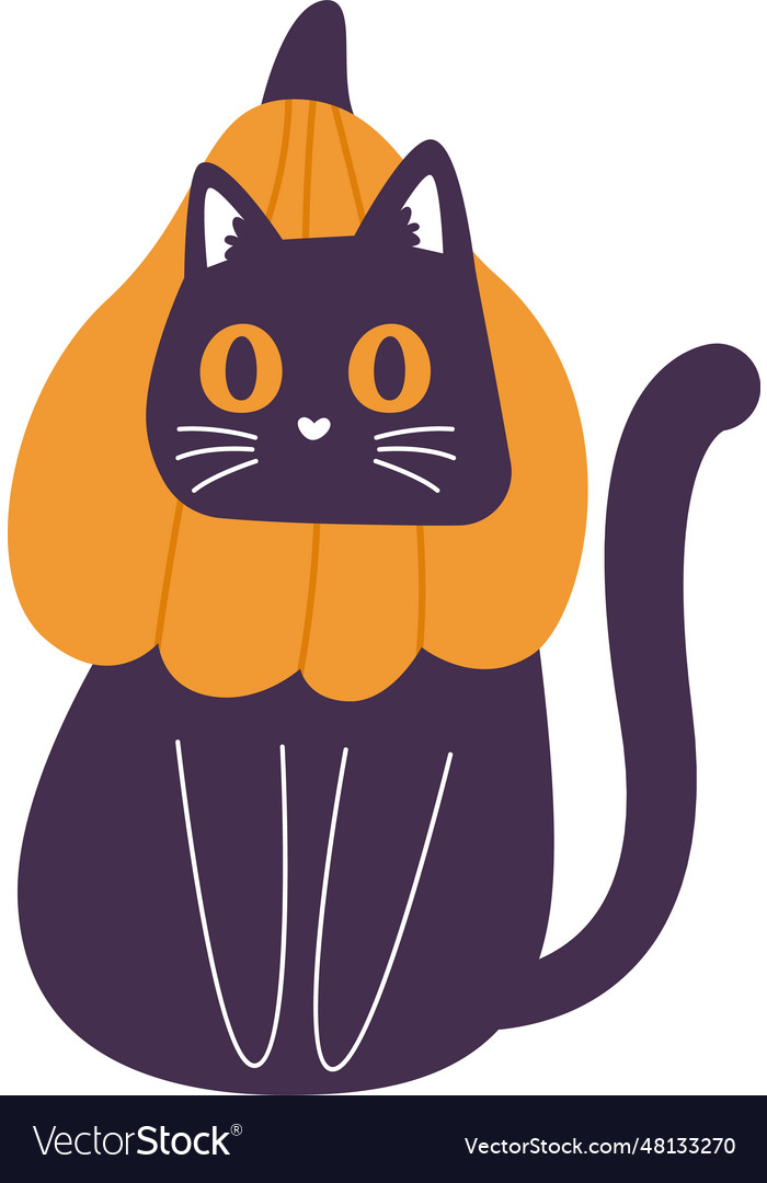 Cat looking from pumpkin Royalty Free Vector Image