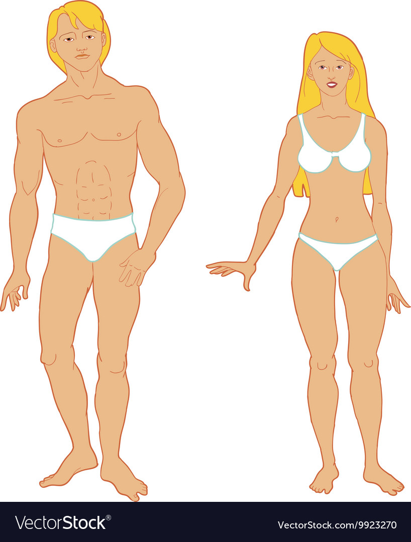 human templates