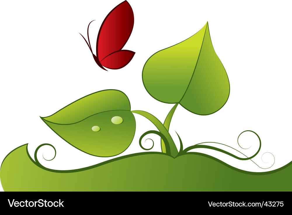 Butterfly Royalty Free Vector Image - VectorStock
