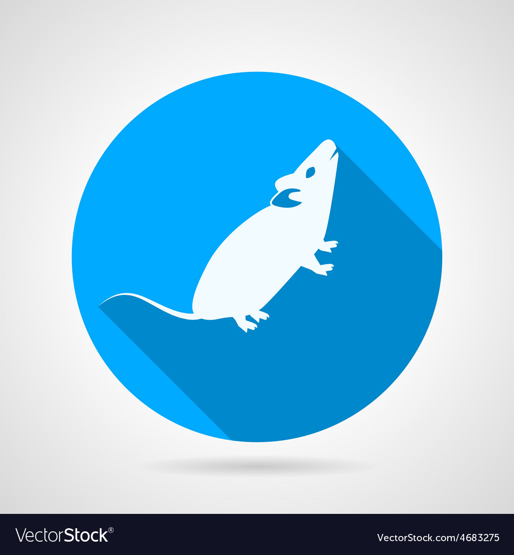 Rat flat blue icon