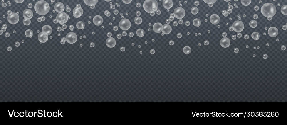Transparent soap bubbles Royalty Free Vector Image
