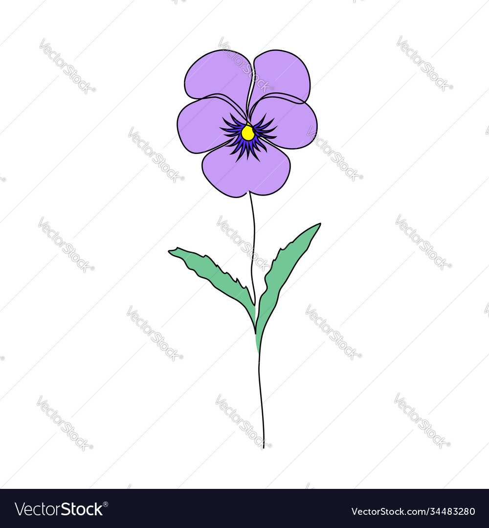 Violet flower on white Royalty Free Vector Image