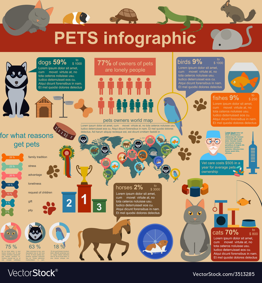 Domestic pets infographic elements helthcare vet