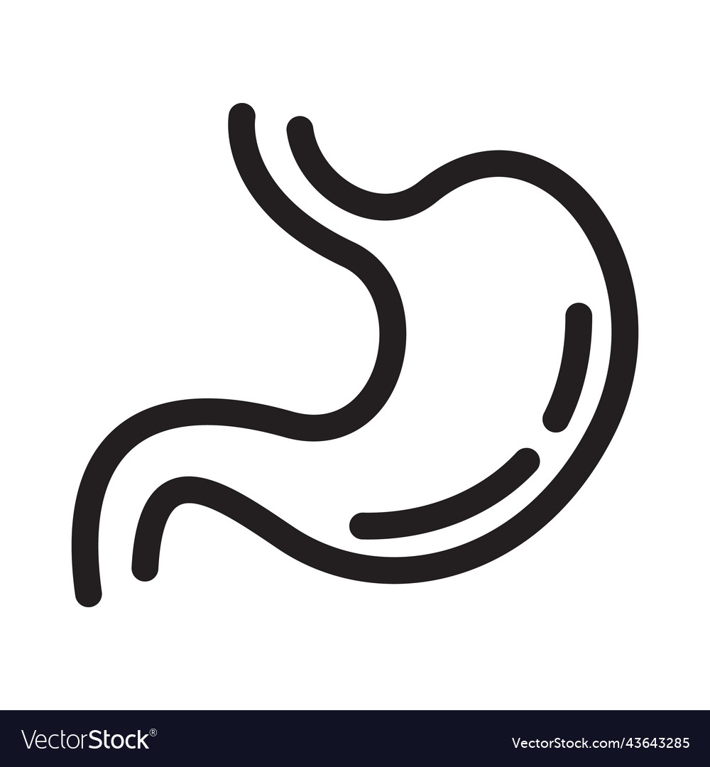 Human stomach outline icon