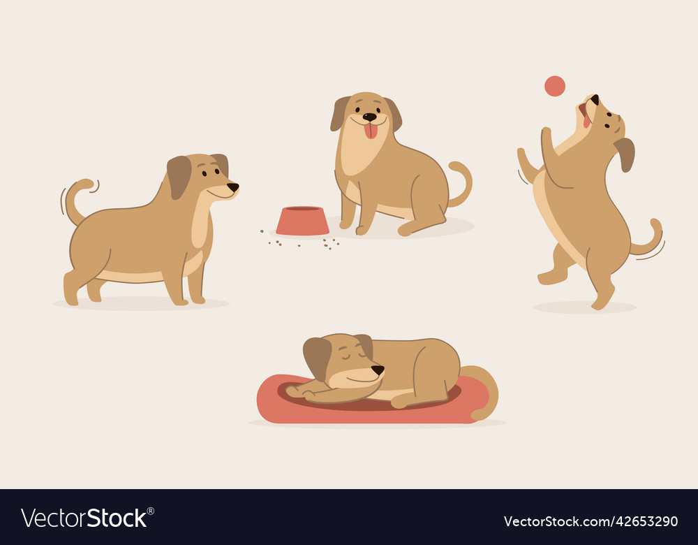 Cute dog activity set puppy daily routine Vector Image