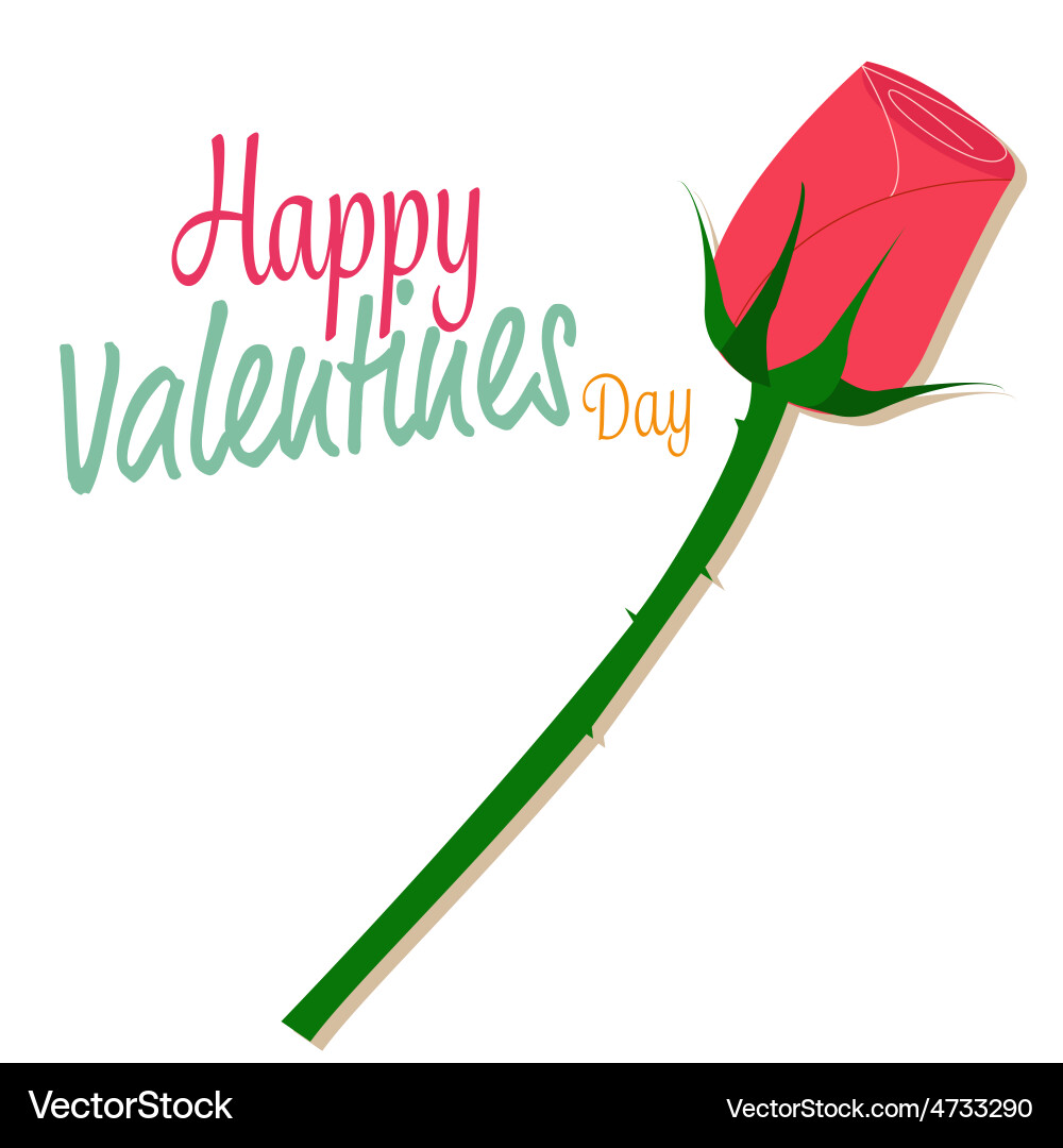 Rose Royalty Free Vector Image - VectorStock