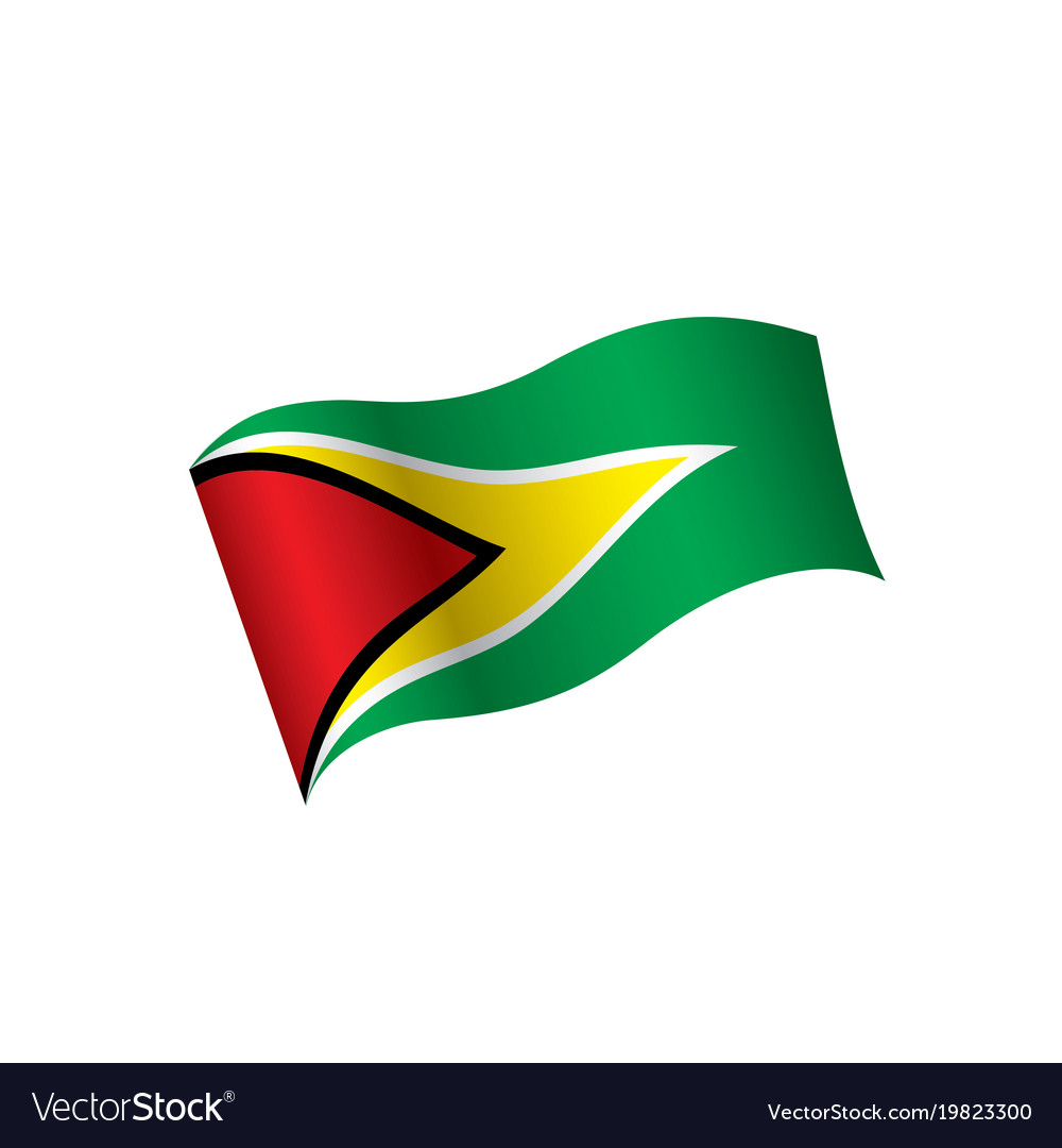 Guyana flag Royalty Free Vector Image - VectorStock