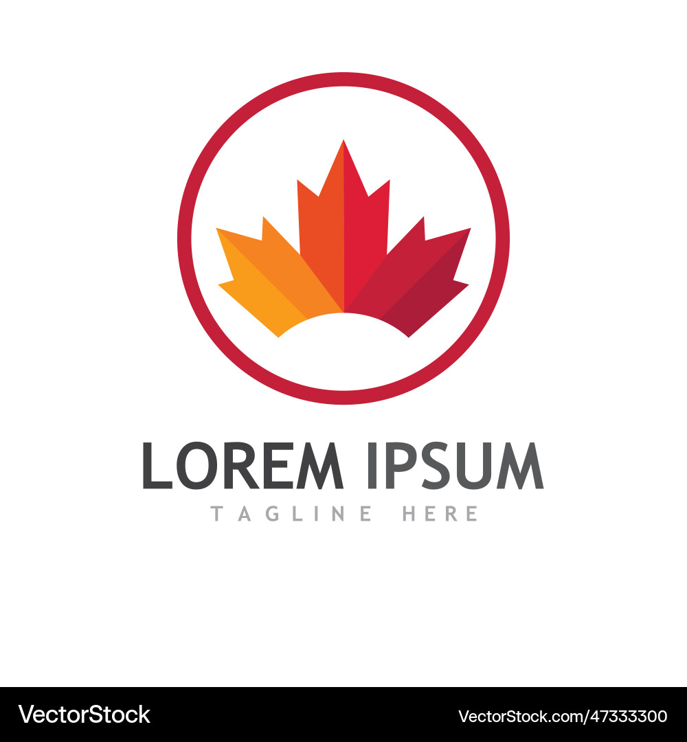 Maple leaf Royalty Free Vector Image - VectorStock