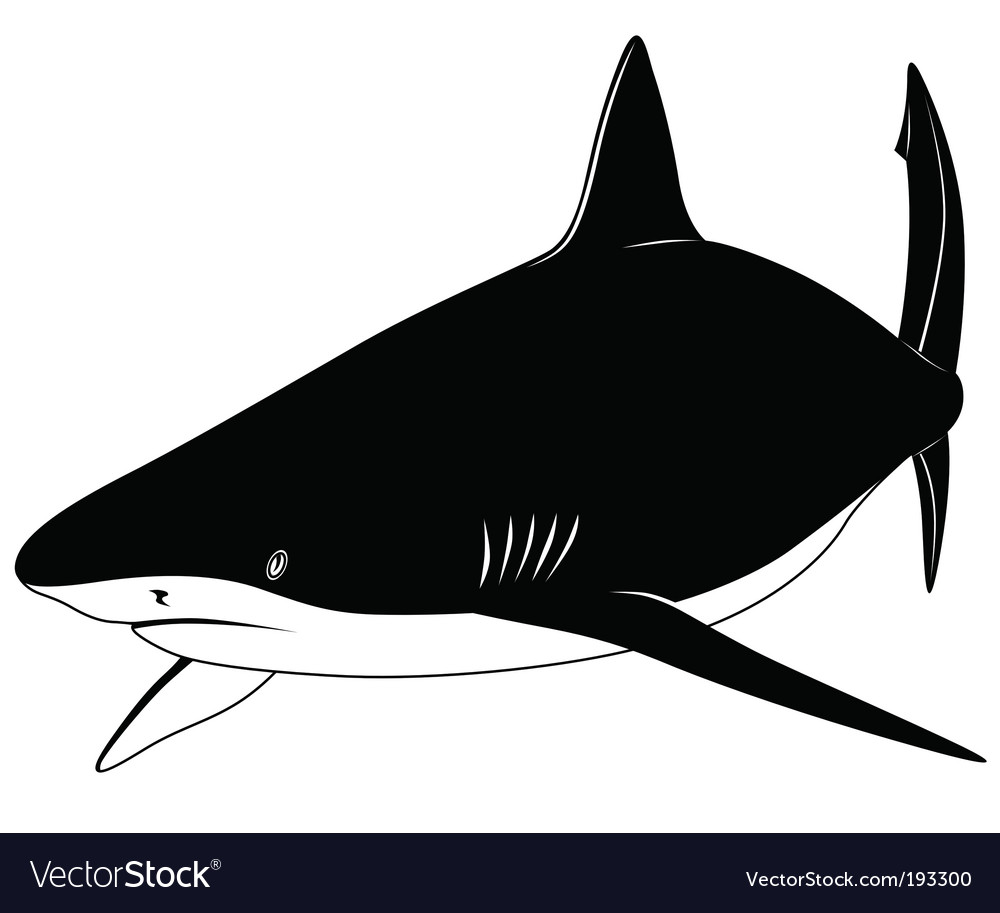 Great White Shark Silhouette Tattoo