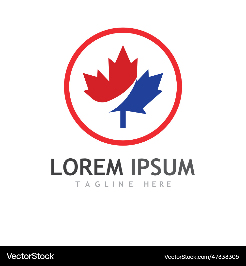 Maple leaf Royalty Free Vector Image - VectorStock