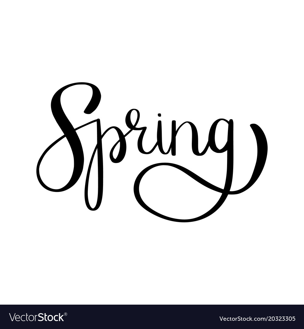 Spring brush lettering Royalty Free Vector Image