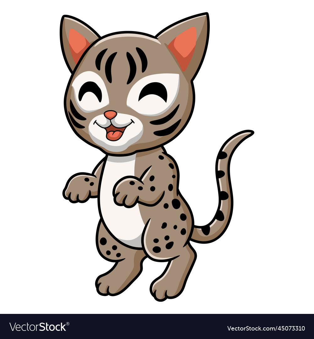 Cute ocicat cat cartoon standing