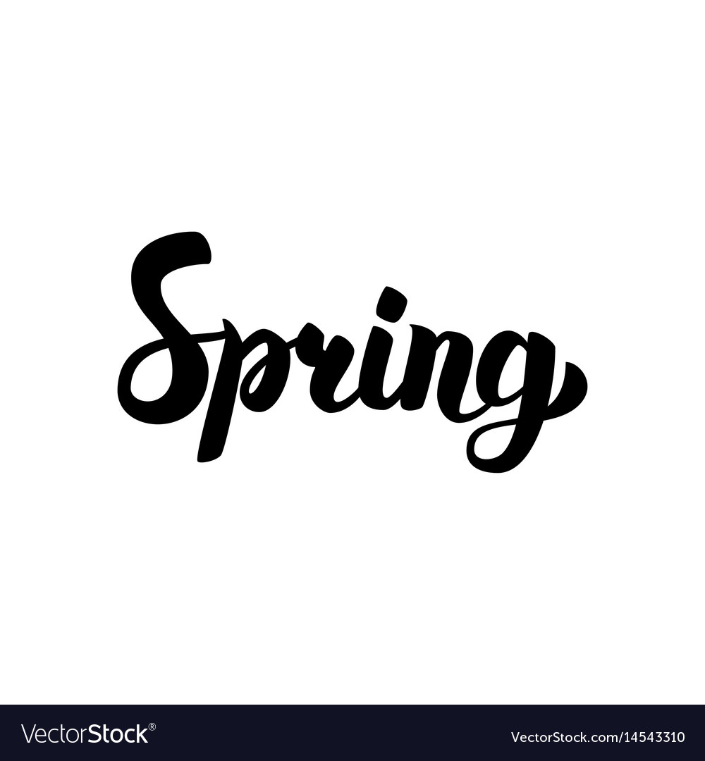 Spring handwritten calligraphy Royalty Free Vector Image