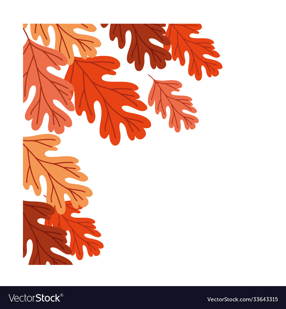 Autumn season leafs botanical frame decoration