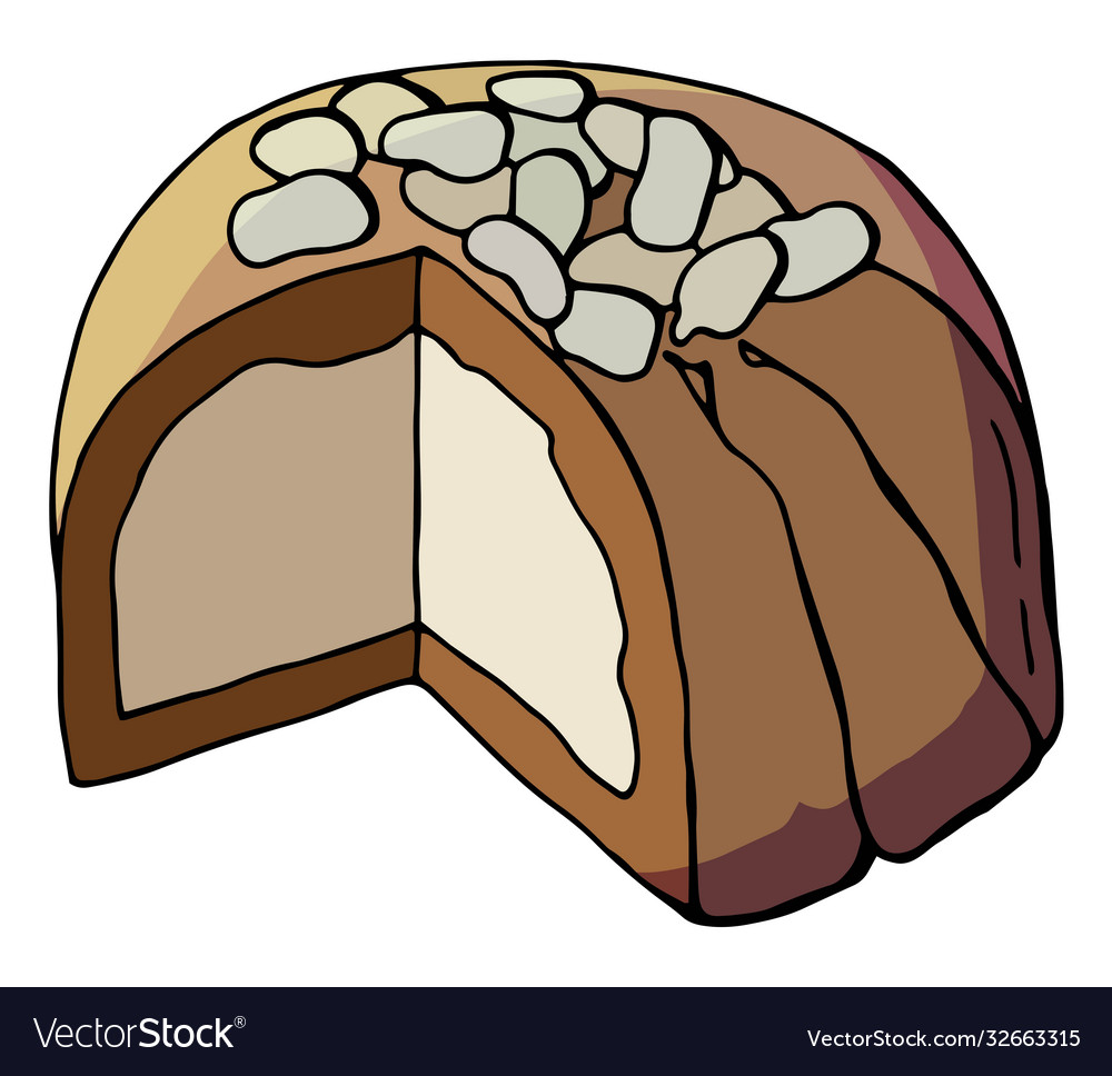 Italian traditional dessert zuccotto Royalty Free Vector