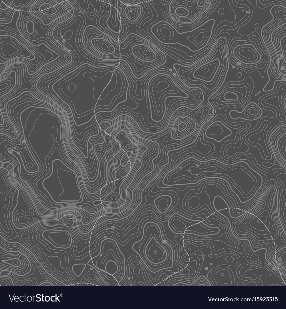 Seamless Pattern Topographic Map Background Vector Image