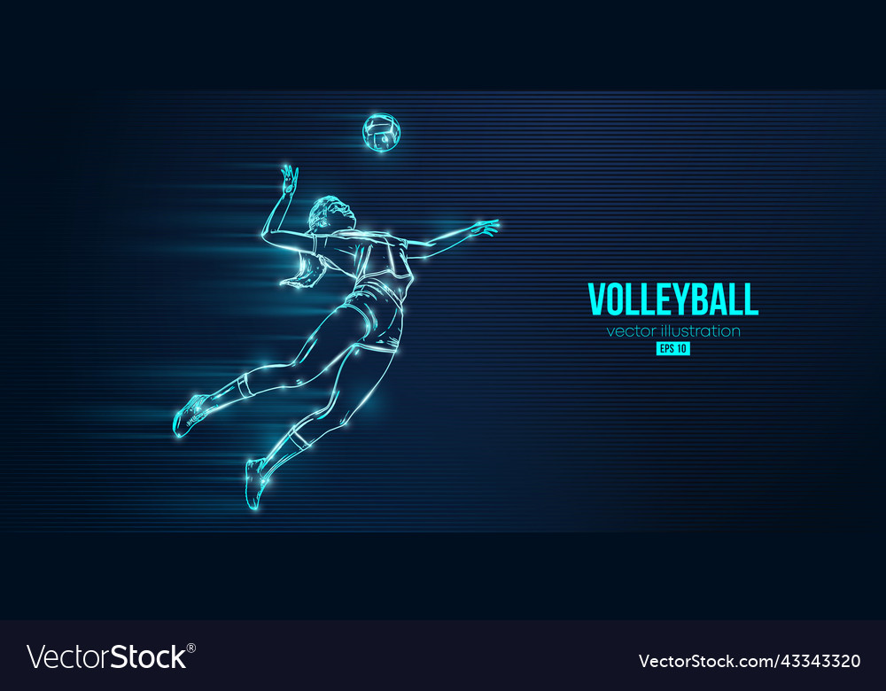 Abstract silhouette of a volleyball player Vector Image