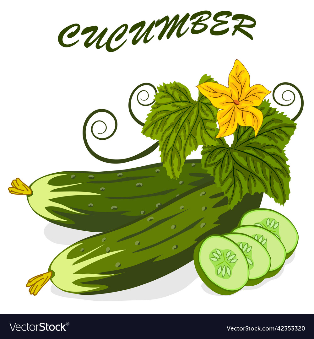 Cucumbers