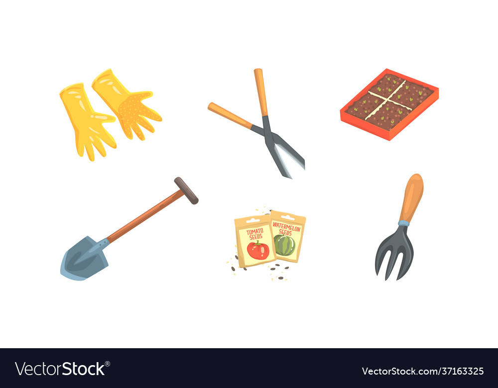 Gardening tools collection rubber gloves pruner Vector Image