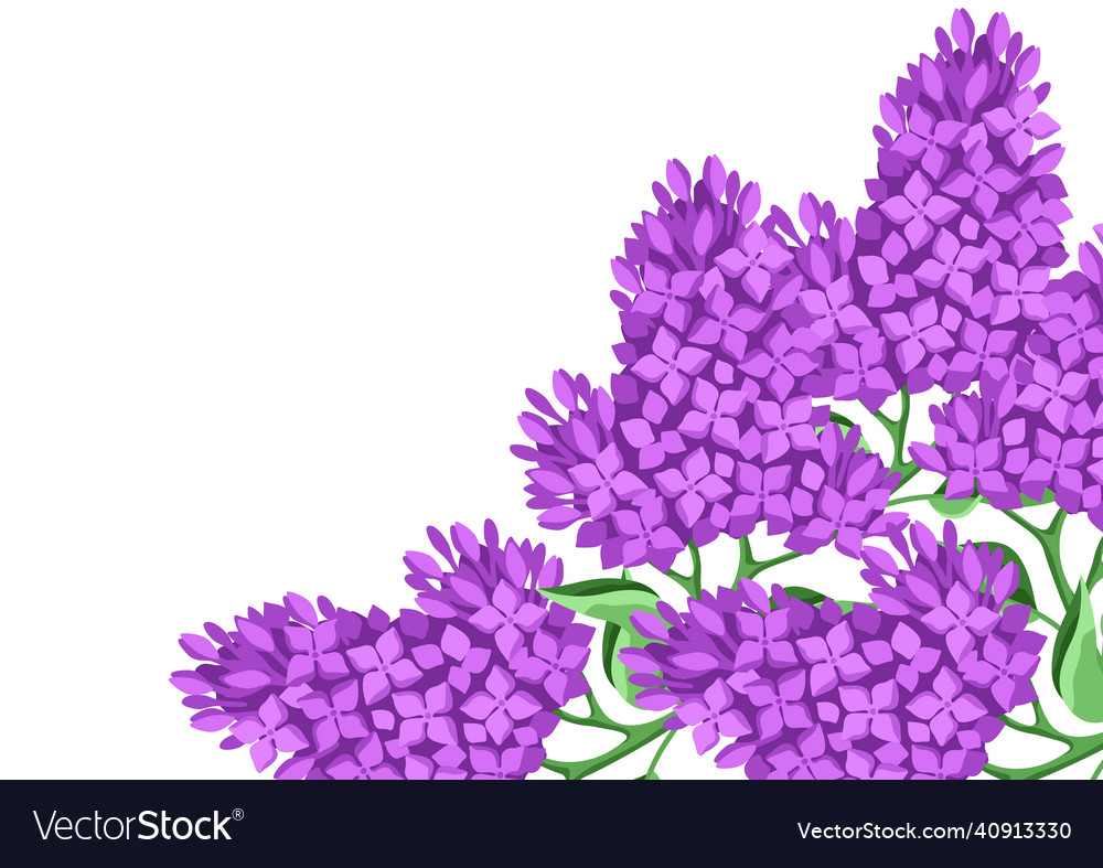 Background with lilac flowers beautiful