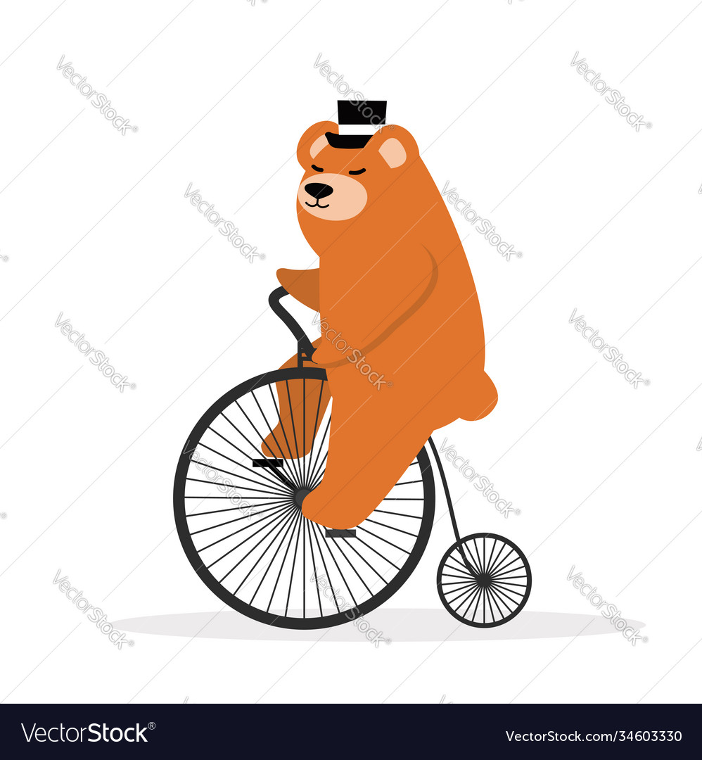 Bear retro vintage old bicycle Royalty Free Vector Image