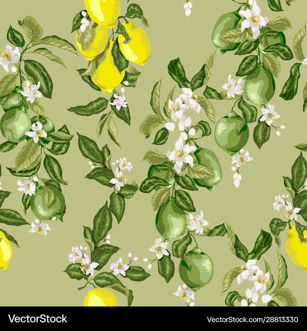 Citrus seamless pattern Royalty Free Vector Image