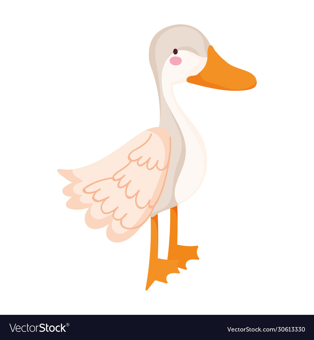 Goose cartoon farm animal isolated icon on white Vector Image