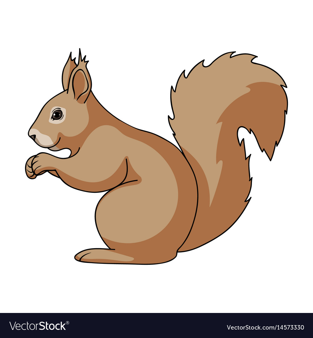 Squirrelanimals single icon in cartoon style