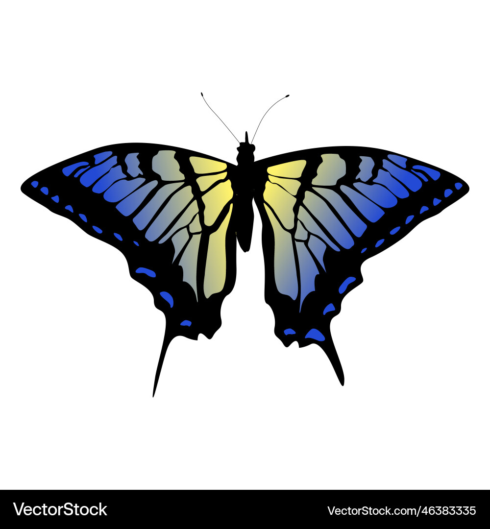 Blue and yellow butterfly design Royalty Free Vector Image