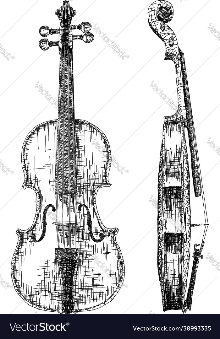 Drawing violin Royalty Free Vector Image - VectorStock